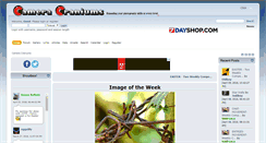 Desktop Screenshot of cameracraniums.com